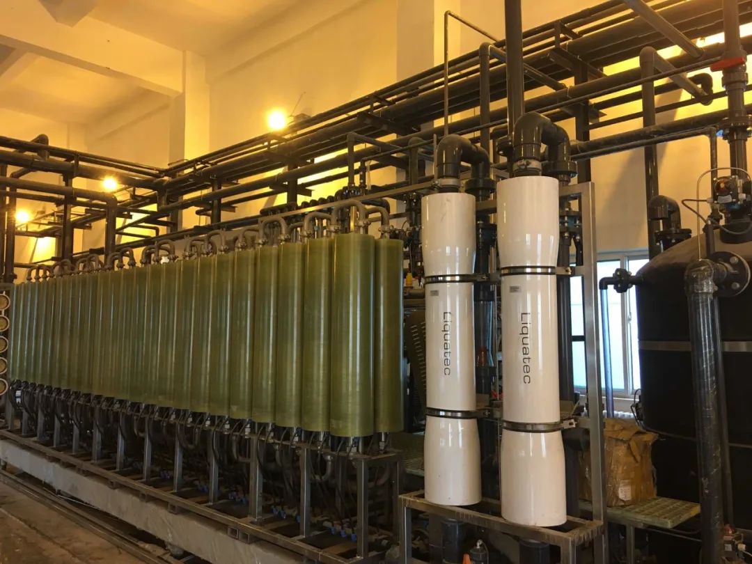 1663123859519816.jpg 1663123859519816.jpg